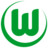 VfL Wolfsburg Icon